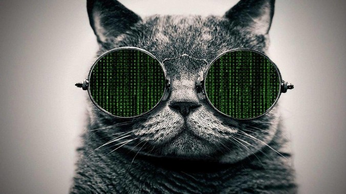 如何看待 2024 黑龙江高考 716 分考生被国防科大录取？